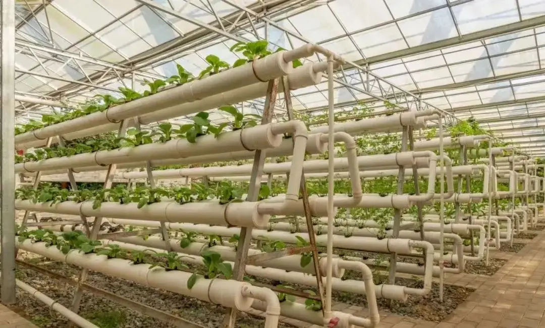 博羅航太農業科技生態園溫室農業科技展示場景